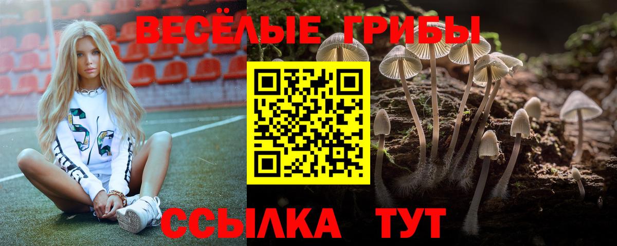 Галлюциногенные грибы Psilocybine cubensis Краснокамск